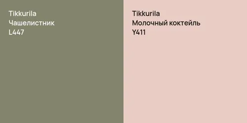 L447 Чашелистник vs Y411 Молочный коктейль
