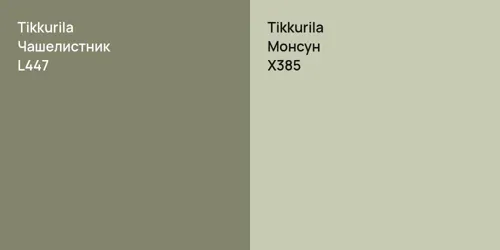 L447 Чашелистник vs X385 Монсун
