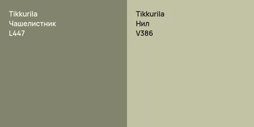 L447 Чашелистник vs V386 Нил