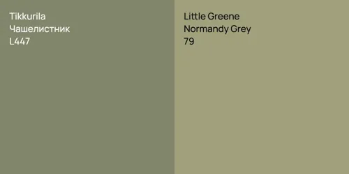 L447 Чашелистник vs 79 Normandy Grey