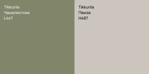 L447 Чашелистник vs H487 Пемза