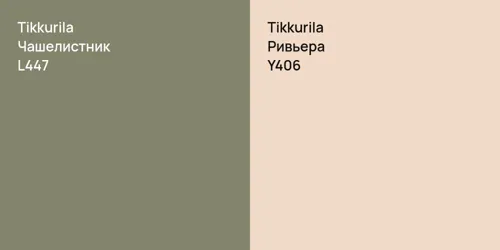 L447 Чашелистник vs Y406 Ривьера