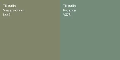 L447 Чашелистник vs V376 Русалка