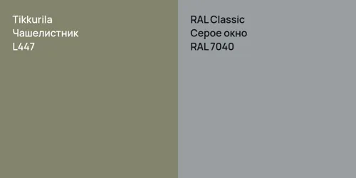 L447 Чашелистник vs RAL 7040 Серое окно