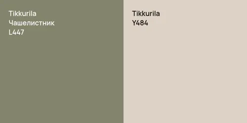 L447 Чашелистник vs Y484 