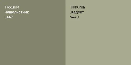 L447 Чашелистник vs V449 Жадеит
