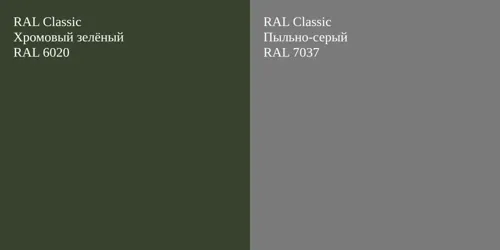RAL 6020 Хромовый зелёный vs RAL 7037 Пыльно-серый
