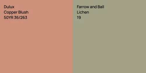 50YR 36/263 Copper Blush vs 19 Lichen