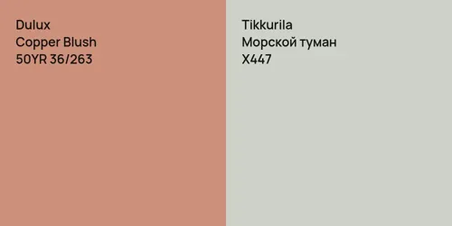 50YR 36/263 Copper Blush vs X447 Морской туман