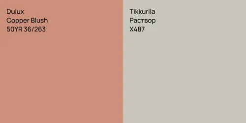 50YR 36/263 Copper Blush vs X487 Раствор