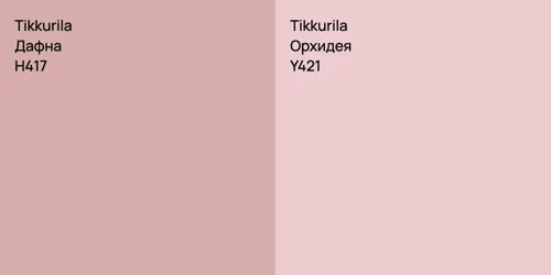 H417 Дафна vs Y421 Орхидея