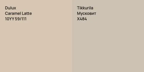 10YY 59/111 Caramel Latte vs X484 Мусковит