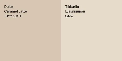 10YY 59/111 Caramel Latte vs G467 Шампиньон