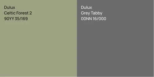 90YY 35/169 Celtic Forest 2 vs 00NN 16/000 Grey Tabby