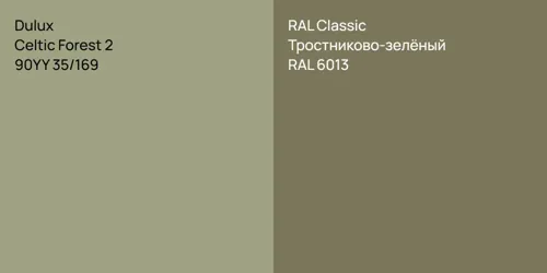 90YY 35/169 Celtic Forest 2 vs RAL 6013 Тростниково-зелёный