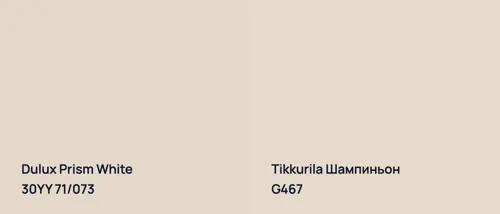 30YY 71/073 Prism White vs G467 Шампиньон