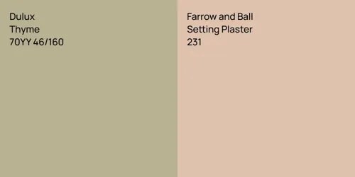 70YY 46/160 Thyme vs 231 Setting Plaster