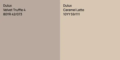 80YR 42/073 Velvet Truffle 4 vs 10YY 59/111 Caramel Latte
