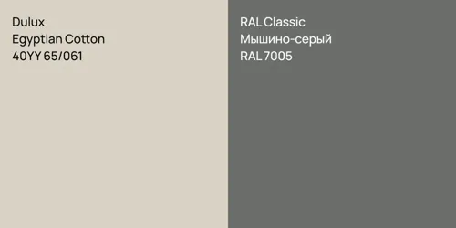40YY 65/061 Egyptian Cotton vs RAL 7005 Мышино-серый
