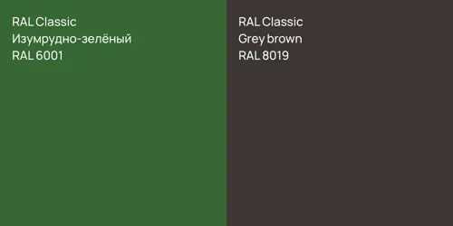 RAL 6001 Изумрудно-зелёный vs RAL 8019  Grey brown
