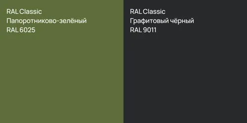 RAL 6025 Папоротниково-зелёный vs RAL 9011 Графитовый чёрный