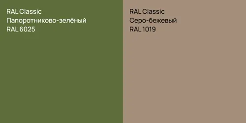 RAL 6025 Папоротниково-зелёный vs RAL 1019 Серо-бежевый