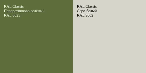 RAL 6025 Папоротниково-зелёный vs RAL 9002 Серо-белый