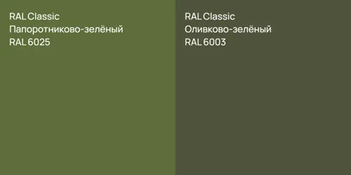 RAL 6025 Папоротниково-зелёный vs RAL 6003 Оливково-зелёный