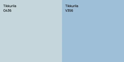 G436 null vs V356 