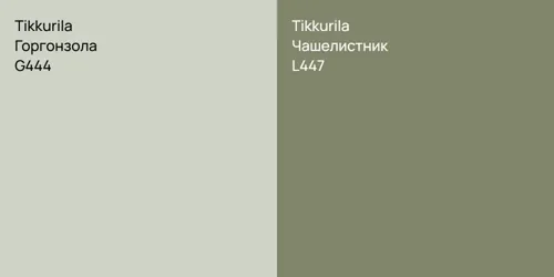 G444 Горгонзола vs L447 Чашелистник