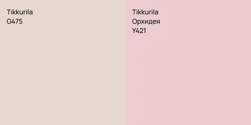 G475 null vs Y421 Орхидея