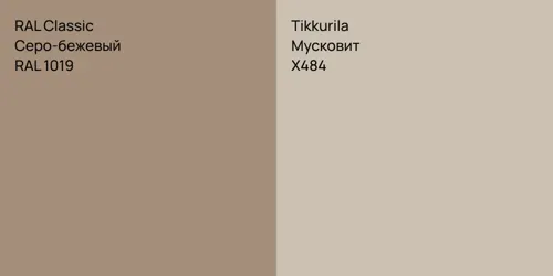 RAL 1019 Серо-бежевый vs X484 Мусковит