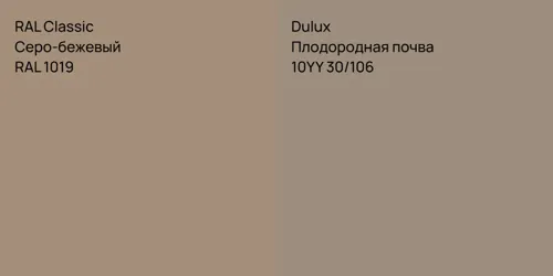 RAL 1019 Серо-бежевый vs 10YY 30/106 Плодородная почва