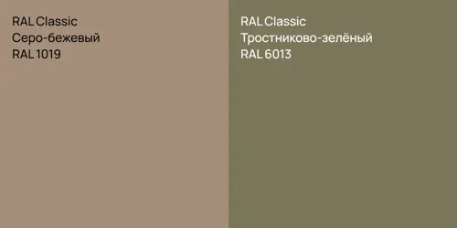 RAL 1019 Серо-бежевый vs RAL 6013 Тростниково-зелёный