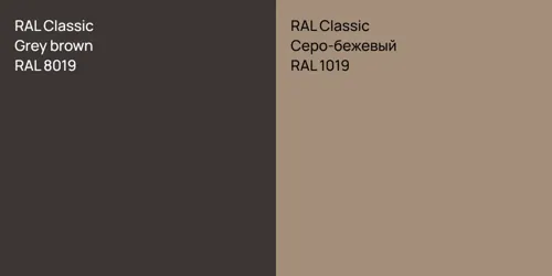RAL 8019 Grey brown vs RAL 1019 Серо-бежевый
