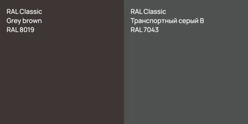 RAL 8019 Grey brown vs RAL 7043 Транспортный серый B