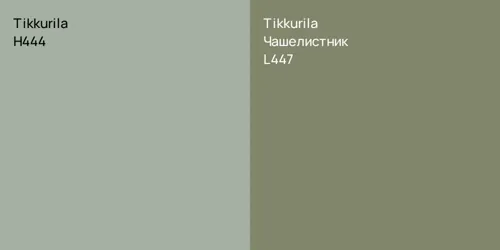 H444 null vs L447 Чашелистник