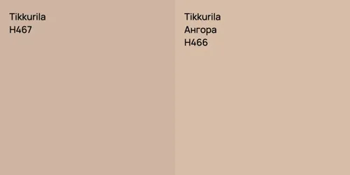 H467 null vs H466 Ангора