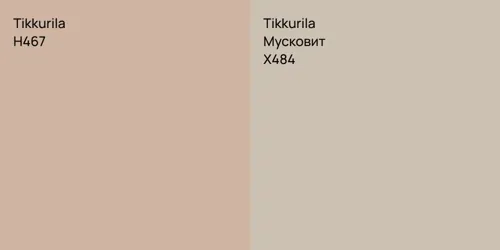 H467 null vs X484 Мусковит