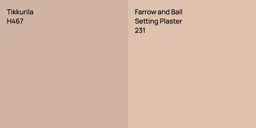 H467 null vs 231 Setting Plaster