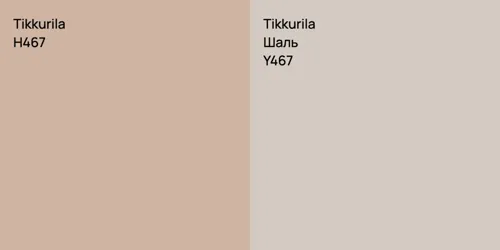 H467 null vs Y467 Шаль