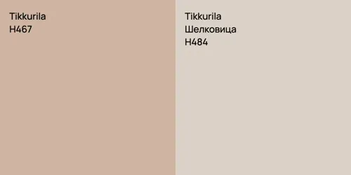 H467 null vs H484 Шелковица