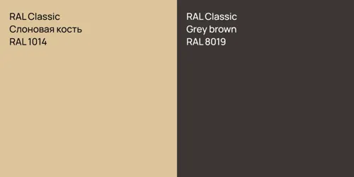 RAL 1014 Слоновая кость vs RAL 8019  Grey brown