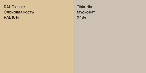 RAL 1014 Слоновая кость vs X484 Мусковит