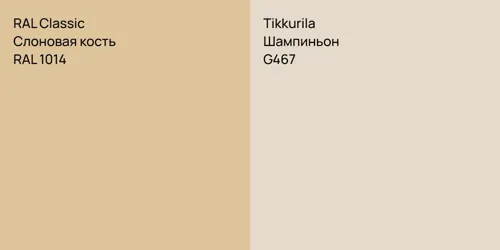 RAL 1014 Слоновая кость vs G467 Шампиньон