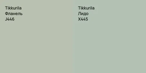 J446 Фланель vs X445 Лидо