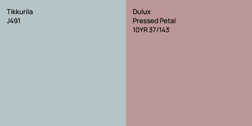 J491  vs 10YR 37/143 Pressed Petal