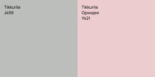 J499 vs Y421 Орхидея