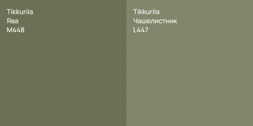 M448 Ява vs L447 Чашелистник
