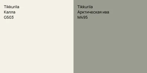G503 Калла vs M495 Арктическая ива